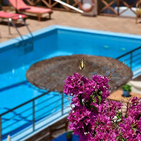 Aparthotel Galissas Studios