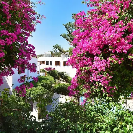 Galissas Studios 3* Galissas