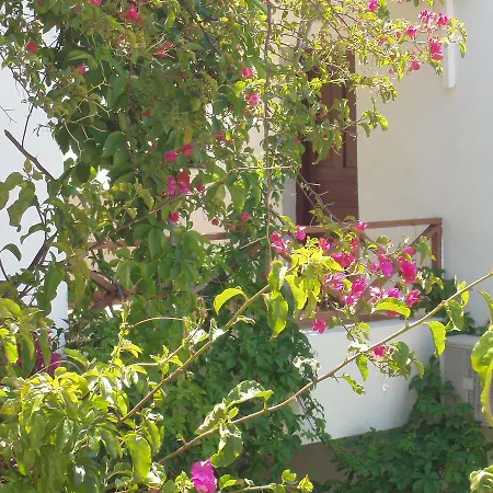 Galissas Studios 公寓式酒店 加利萨斯