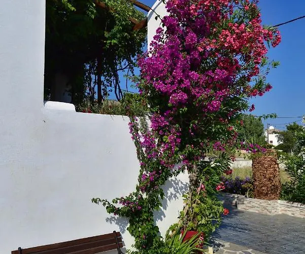 Galissas Studios Aparthotel Galissas