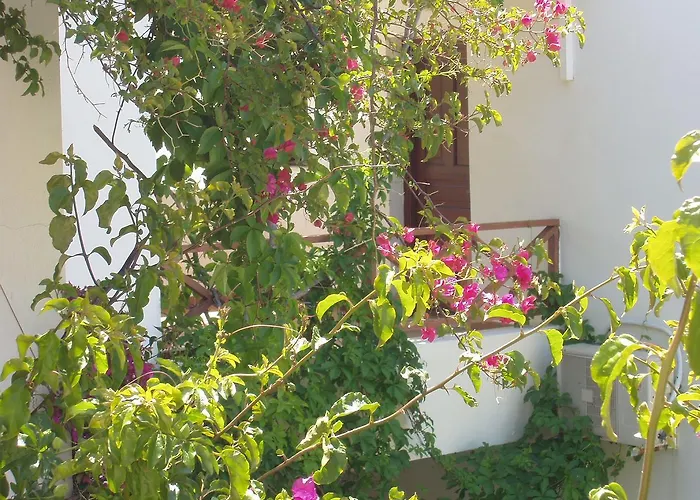 Galissas Studios Aparthotel Galissas